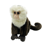 Capuchin Monkey Soft Toy, 23 cm