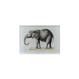 200th Anniversary Elephant Magnet