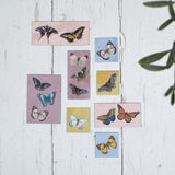 200th Anniversary Butterfly Magnet Set