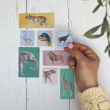 200th Anniversary Animal Magnet Set