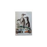 200th Anniversary Penguins Magnet