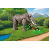 Playmobil Zoo: Elephant With Zookeeper Playset