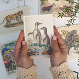 200th Anniversary Penguins Wooden Postcard