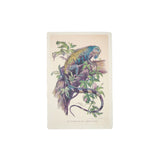 200th Anniversary Iguana Wooden Postcard