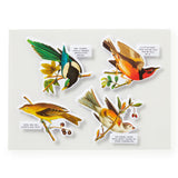 Salty Birds Puzzle, 1000 Pieces