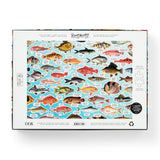 Judgy Fish Puzzle, 1000 Pieces