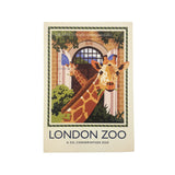 London Zoo Giraffes Notebook