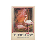 London Zoo Flamingos Notebook