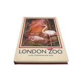 London Zoo Flamingos Notebook