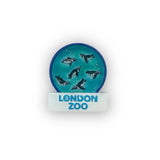 London Zoo Penguin Beach Window Magnet