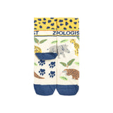ZSL x Frugi Junior Zoologist Children's Socks