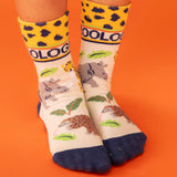 ZSL x Frugi Junior Zoologist Children's Socks