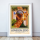 London Zoo Giraffes Poster