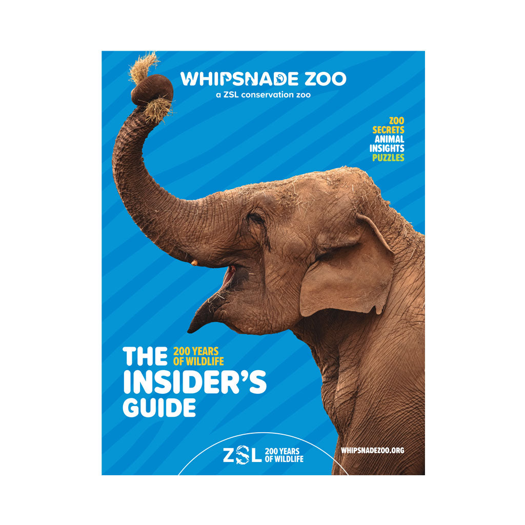 Whipsnade Zoo Insider's Guide with an elephant on a blue background
