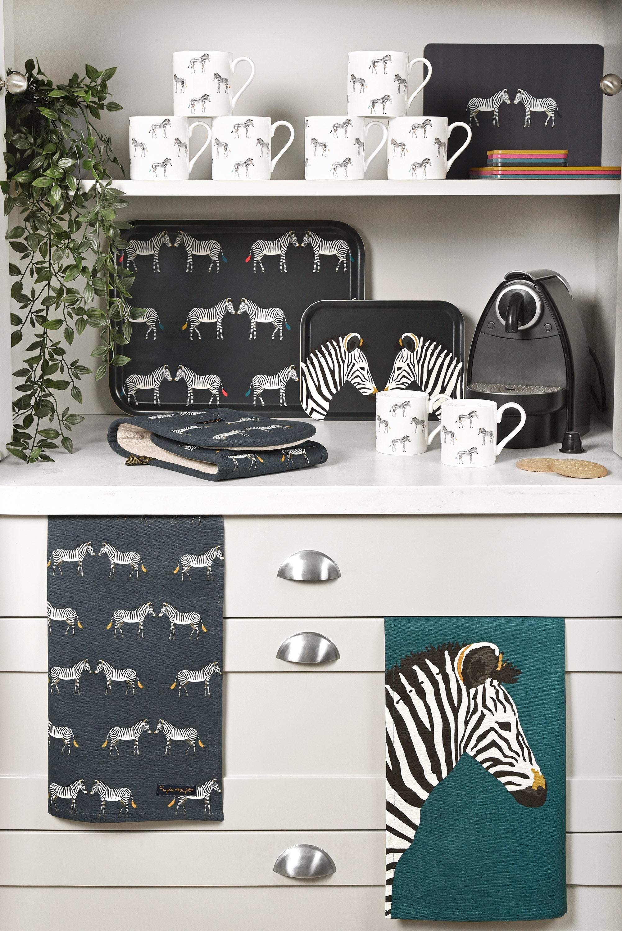 Animal Kitchen Gifts | ZSL Shop