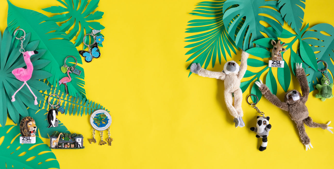 Keyrings & Lanyards | ZSL Shop – Page 2