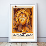 London Zoo Lion Poster