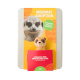 Meerkat Adoption