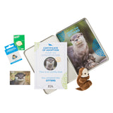 Otter Adoption