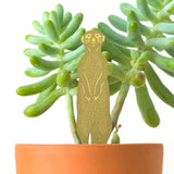 Meerkat Plant Decoration