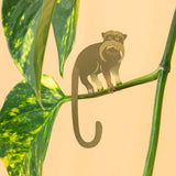 Tamarin Plant Decoration