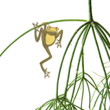 Tree Frog Plant Decoration