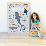 Sharks Sticker Craft Poster