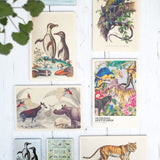 200th Anniversary Okapi Wooden Postcard