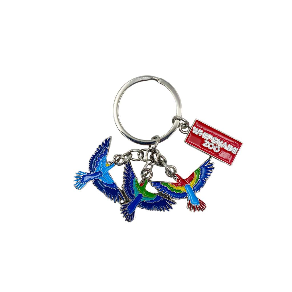 Whipsnade Zoo Macaws Charm Keyring – ZSL Shop