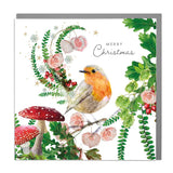 Robin Christmas Cards - 6 Pack