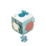 Sea Life Animals Activity Cube