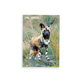 African Wild Dog | London Zoo | Whipsnade Zoo Postcard