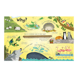 Questions & Answers About Animals Book