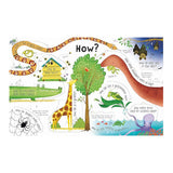 Questions & Answers About Animals Book
