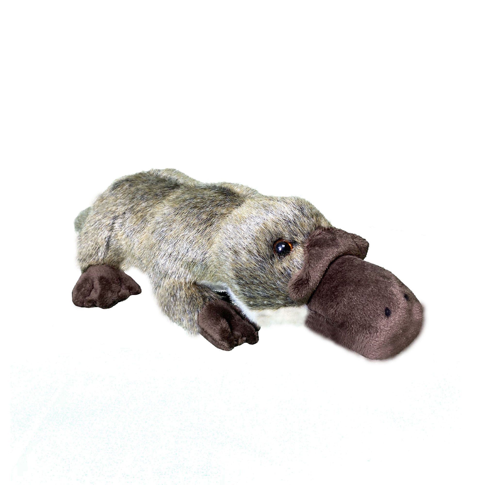 Platypus Soft Toy, 43cm – ZSL Shop