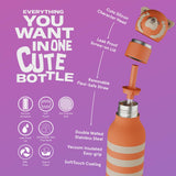 Red Panda Stainless Steel Drinking Bottle