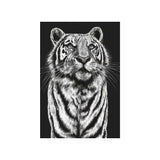 Tiger Monochrome Drawing Greetings Card