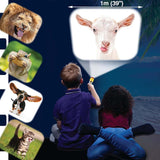 Funny Animal Faces Torch & Projector Toy