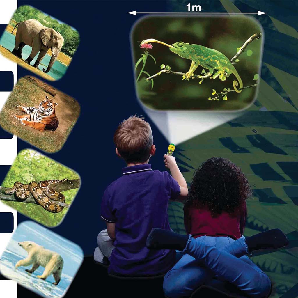 Projector Screen Animals Wild Animals Torch & Projector Toy | ZSL Shop