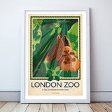 London Zoo Sloth Poster