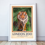 London Zoo Tiger Poster