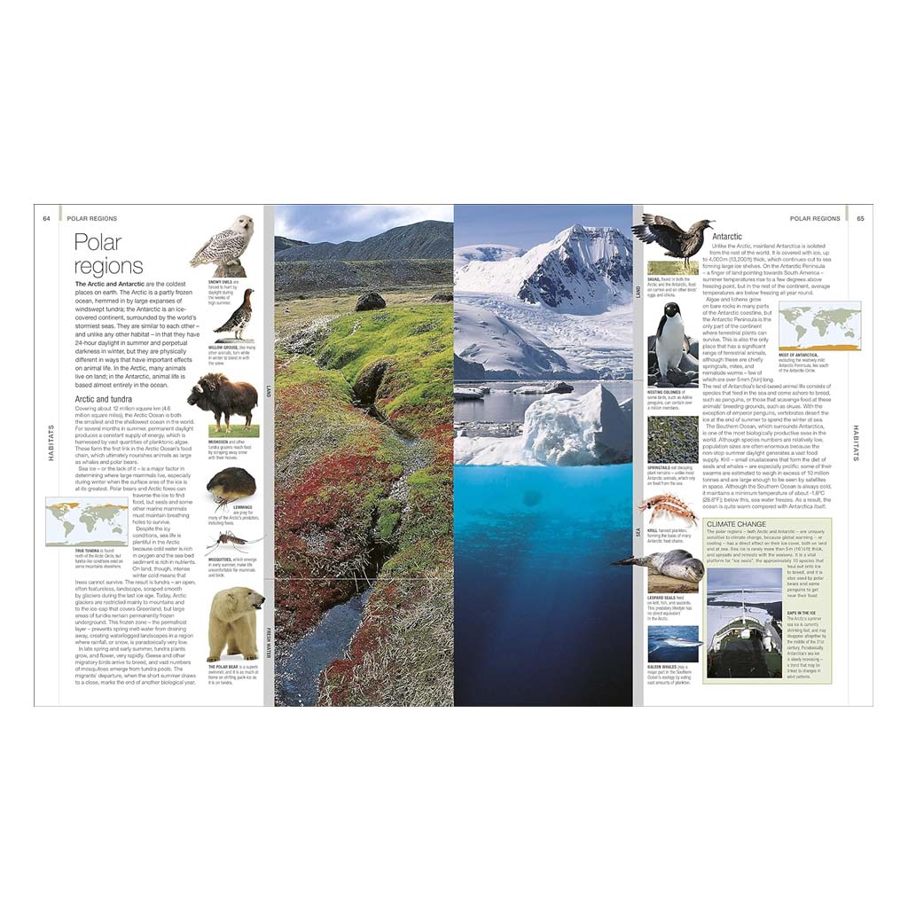 Animal: The Definitive Visual Guide Book | ZSL Shop