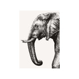 Elephant Monochrome Drawing Greetings Card