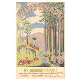 London Transport Museum Official Whipsnade Zoo Print