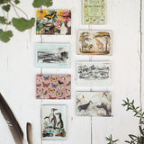 200th Anniversary Penguin Garden Magnet