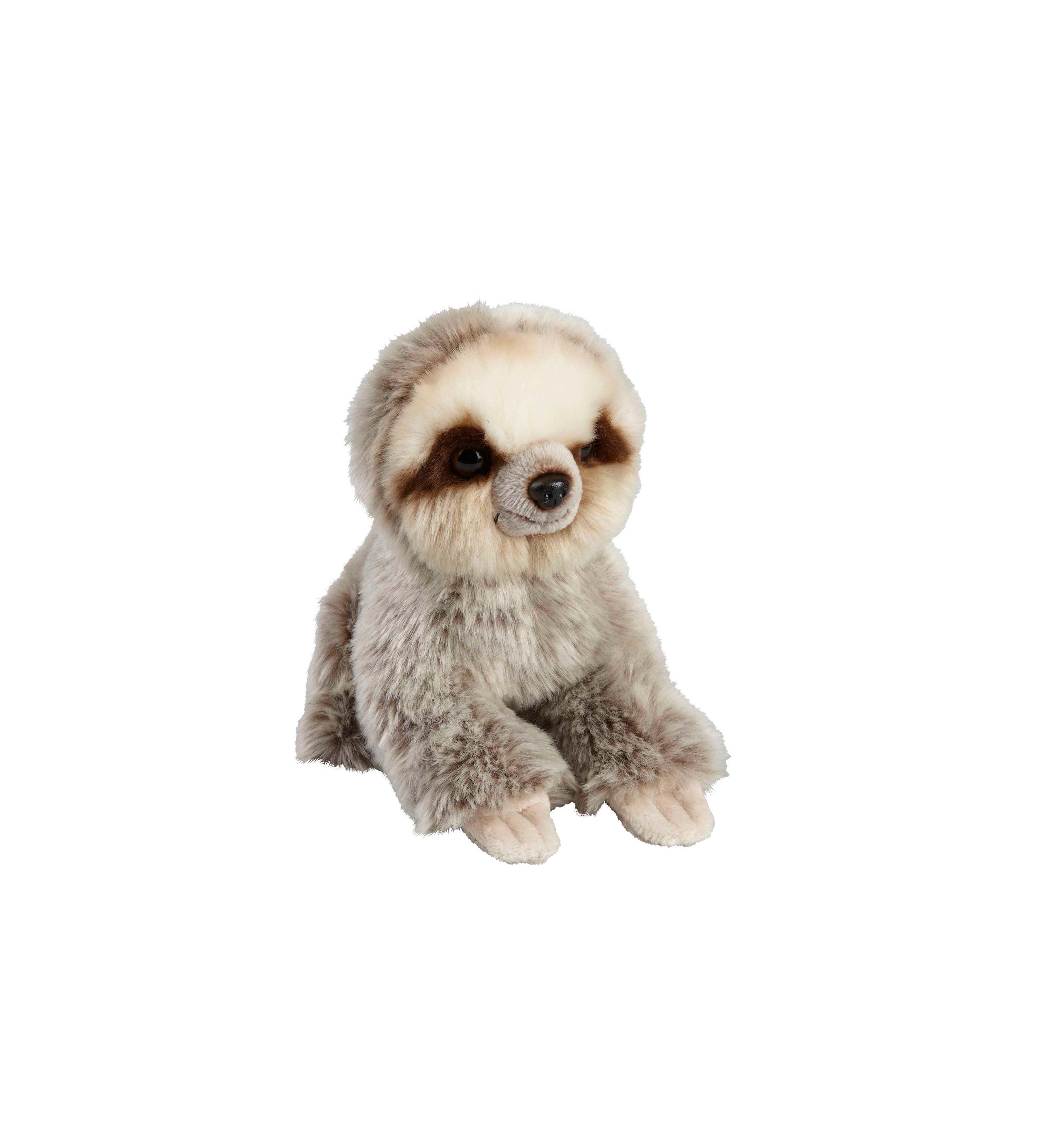 Baby Sloth Soft Toy | ZSL Shop