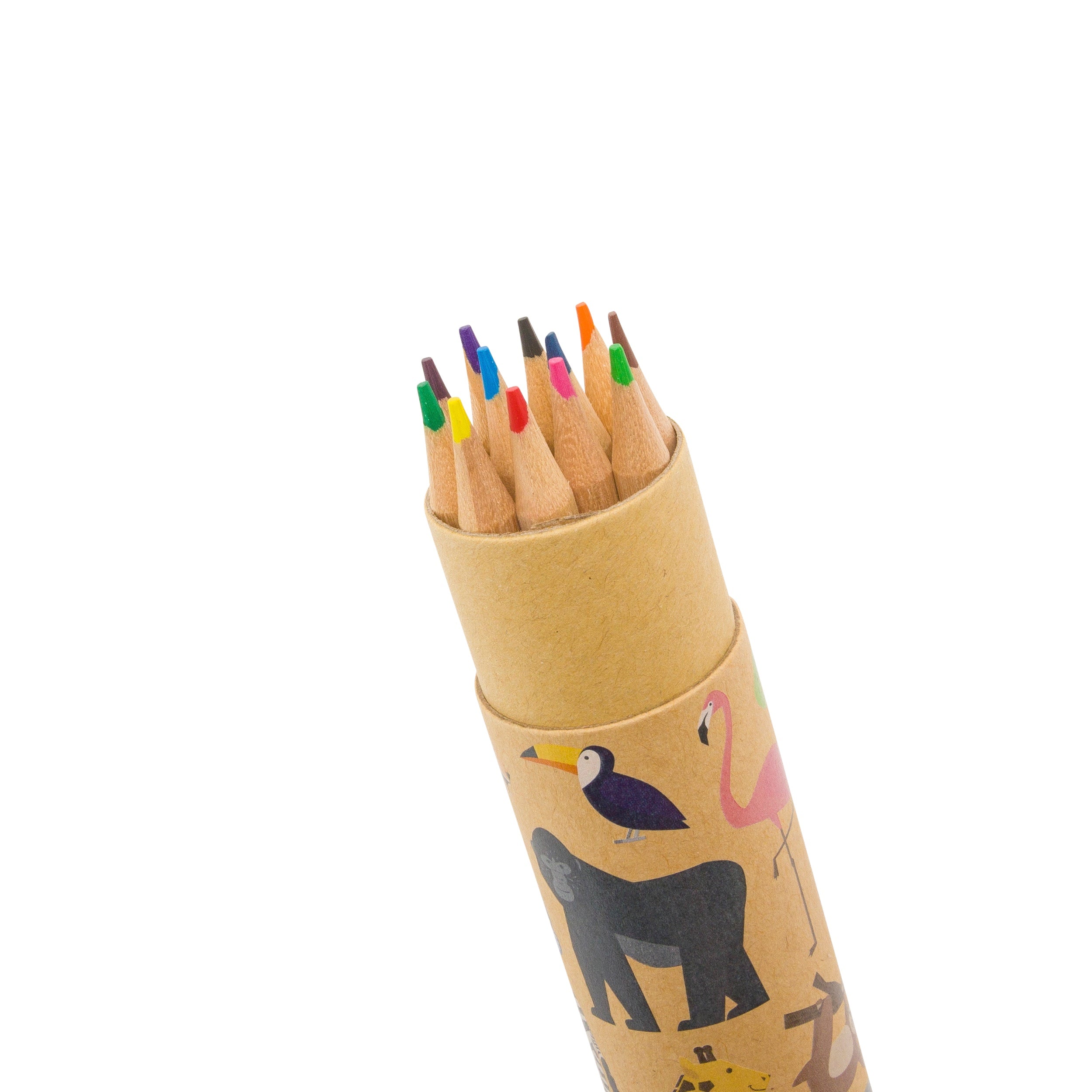 Zoo Animals Colouring Pencils in Pot