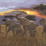 Sunset in Kilimanjaro Paint By Numbers Kit