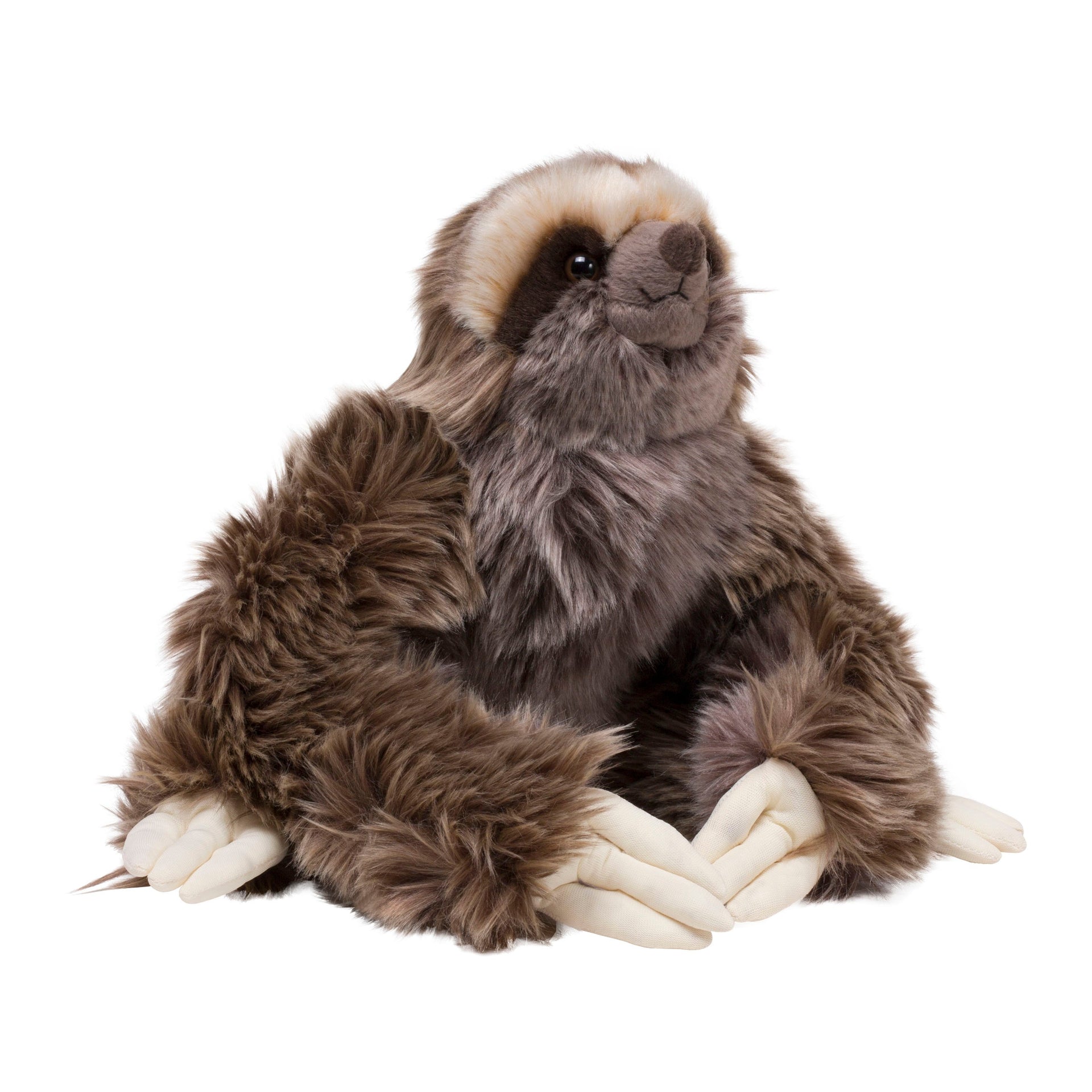 Sloth Soft Toy ZSL Shop - Main Image