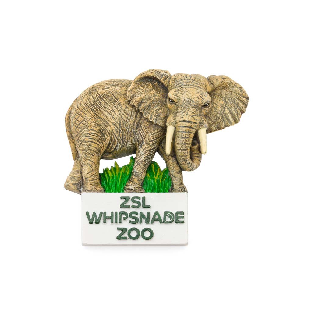 Whipsnade Zoo Elephant Magnet